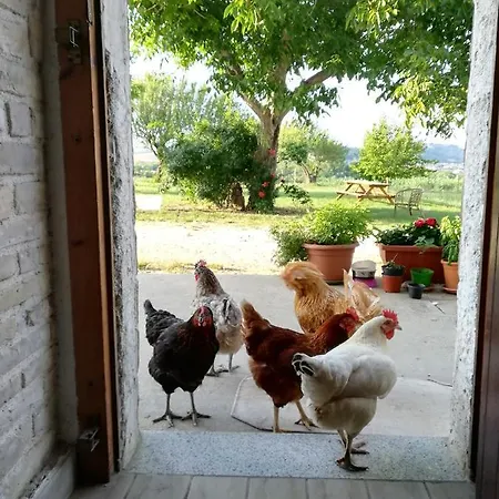 Le Terre D'abruzzo Tatil Evi