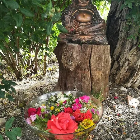 Prázdninový dům Agriturismo Le Terre D'abruzzo Country House *