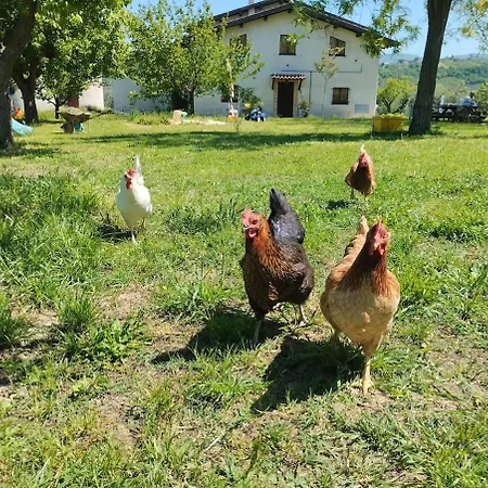 Tatil Evi Le Terre D'abruzzo *
