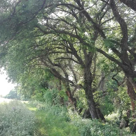 Le Terre D'abruzzo * Alanno