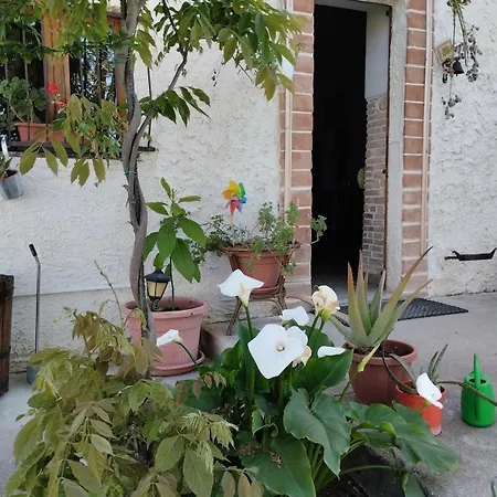 Le Terre D'abruzzo Alanno