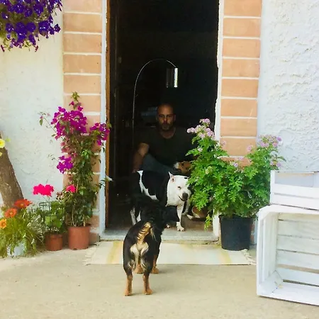 Prázdninový dům Agriturismo Le Terre D'abruzzo Country House *