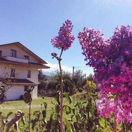 Le Terre D'abruzzo * Alanno