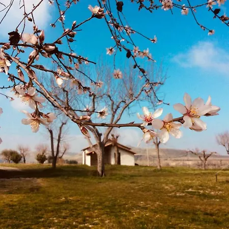 Agriturismo Le Terre D'abruzzo Country House