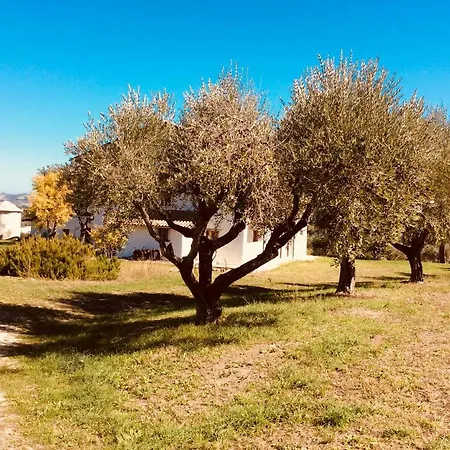 Prázdninový dům Agriturismo Le Terre D'abruzzo Country House