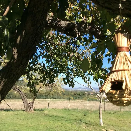 Agriturismo Le Terre D'abruzzo Country House Alanno